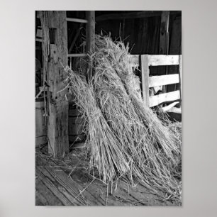 Black And White Farm Photo Wheat Stacks Poster