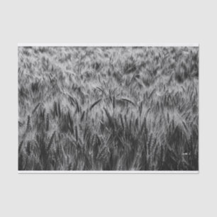 Black and White Field of Wheat Tissue Paper