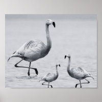 Black and White Flamingo Tropical Printable Art 