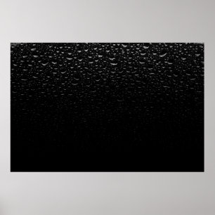 Black and white floral area rug poster