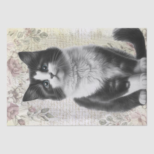 Black and White Floral Cat Kitten Tissue Paper (Front)