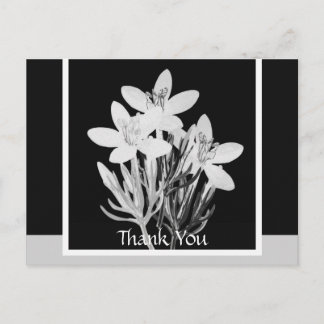 Black and White Floral Minimalist Postcard