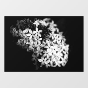 black and white florals