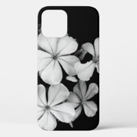 Black and White Flower Photography