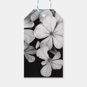 Black and White Flower Photography Gift Tags