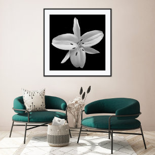 Black and White Flower Photography Poster