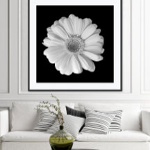 Black and White Flower Photography Poster