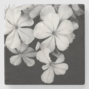 Black and White Flower Photography Stone Coaster