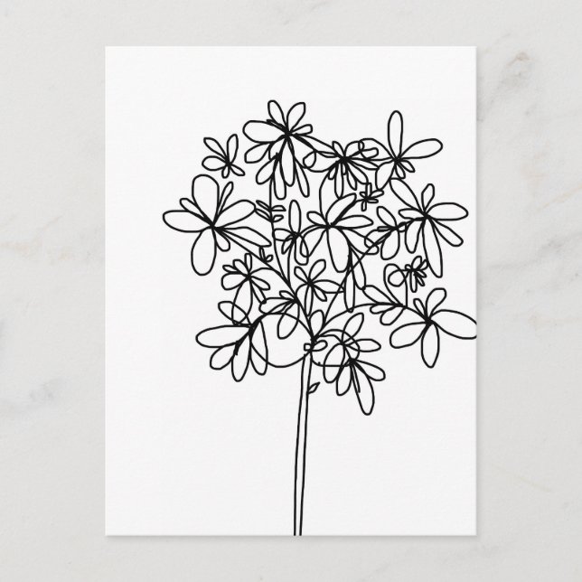 Black and White Flower - Postcard (Front)