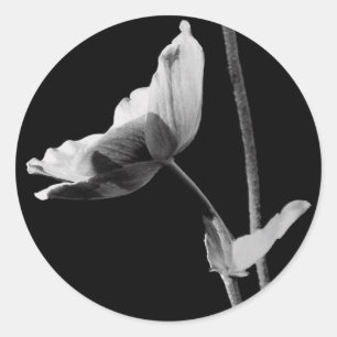 Black and White Flower Stickers