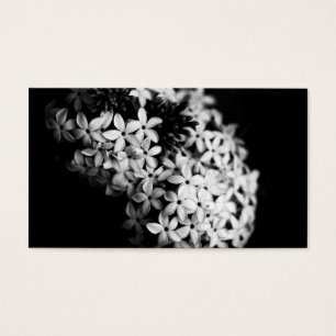 black and white flowers