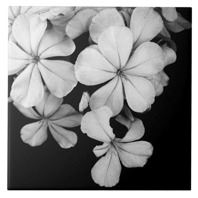 Black and white flowers close-up ceramic tile (Front)