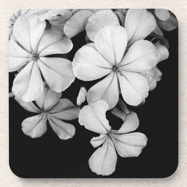 Black and white flowers close-up coaster (Front)