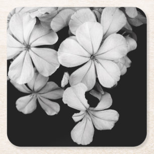 Black and white flowers close-up square paper coaster