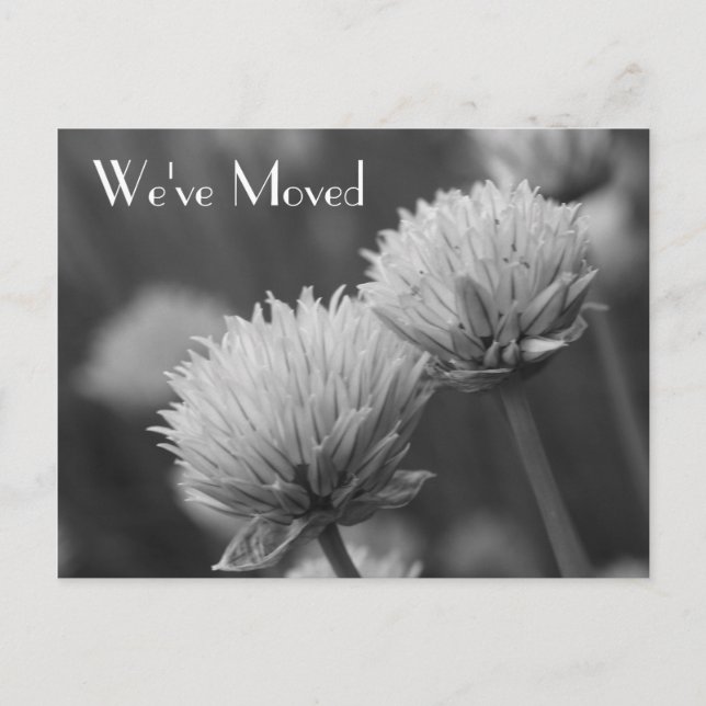 Black And White Flowers New Address Announcement Postcard (Front)