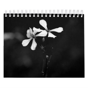 Black and white flowers photography calendar