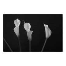 Black and White Flowers Poster