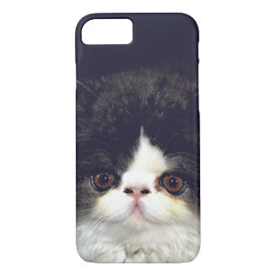 Black and white fluffy kitten iPhone 8/7 case