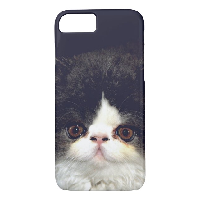 Black and white fluffy kitten Case-Mate iPhone case (Back)