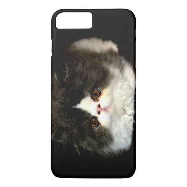 Black and white fluffy kitten Case-Mate iPhone case (Back)