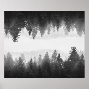 Black and white foggy mirrored forest poster