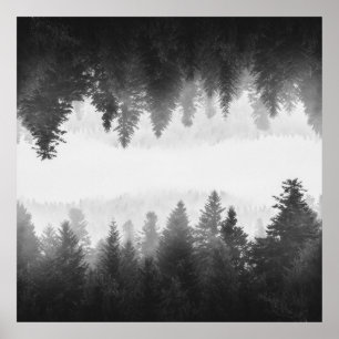 Black and white foggy mirrored forest poster