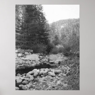 Black and White Forest Creek Poster