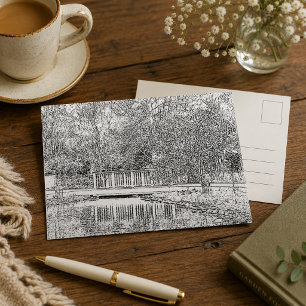 Black and White Forest Postcard