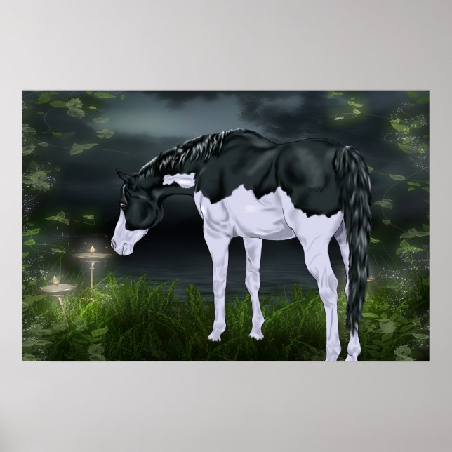 Black and White Frame Overo Paint Horse Poster (Front)