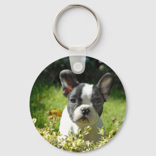 Black and White French Bull Dog Puppy Key Ring