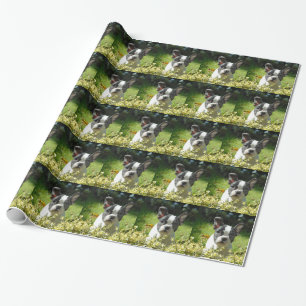 Black and White French Bull Dog Puppy Wrapping Paper