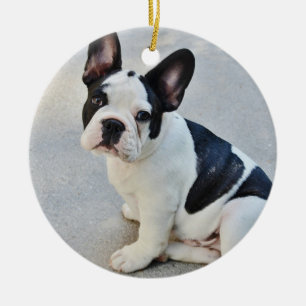 Black and White French Bulldog Ceramic Tree Decoration