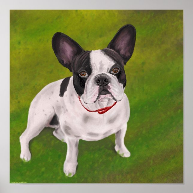 Black and white French Bulldog on Grass - Painting Poster (Front)