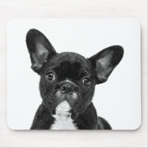Black and White French Bulldog Portrait Mouse Pad