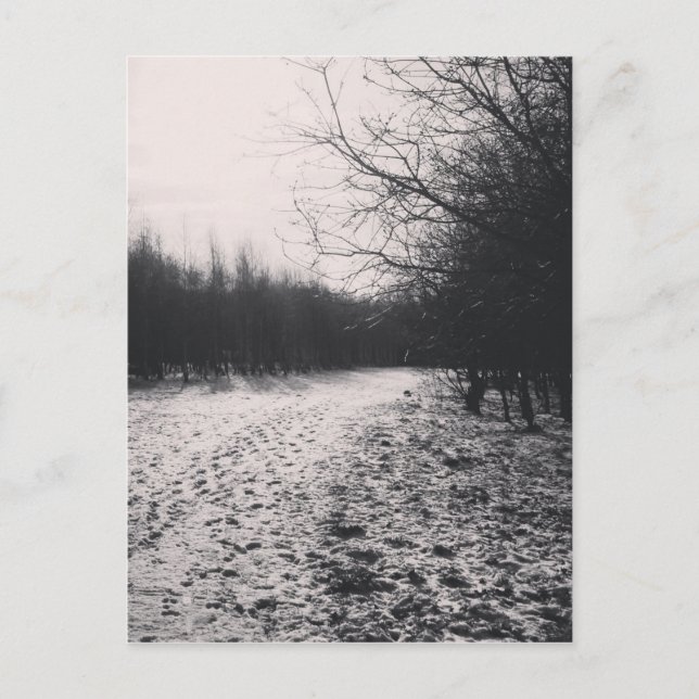 Black and white frozen postcard (Front)