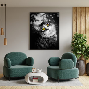 Black and White Funny Cat Yellow Eyes Photo Poster