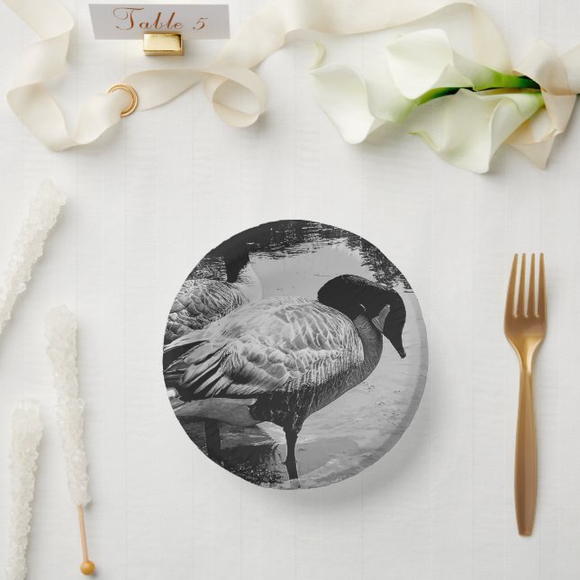 Black and White Geese Quiet Moment by the Lake. Paper Plate (Wedding)