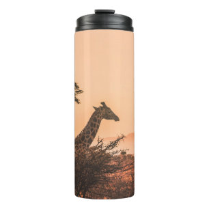 BLACK AND WHITE GIRAFFE ON BROWN GRASS FIELD THERMAL TUMBLER