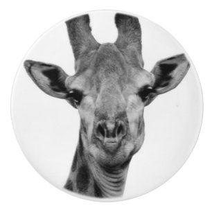 Black and White Giraffe Photograph Ceramic Knob