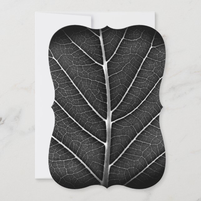 Black and white glowing leaf close-up (Front)