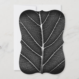 Black and white glowing leaf close-up