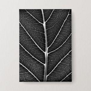 Black and white glowing leaf close-up
