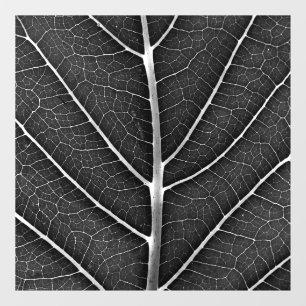 Black and white glowing leaf close-up