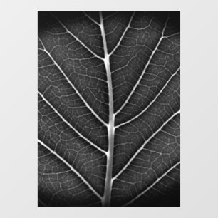 Black and white glowing leaf close-up