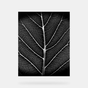 Black and white glowing leaf close-up acrylic sign