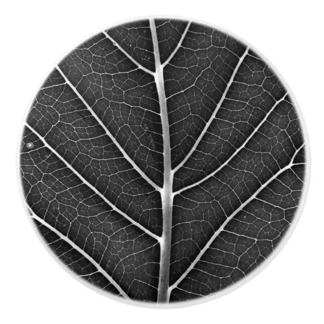 Black and white glowing leaf close-up ceramic knob (Front)