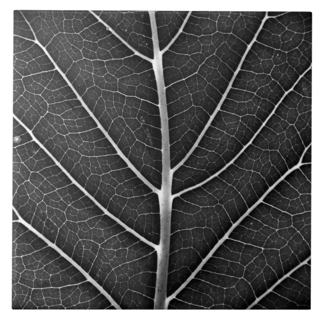 Black and white glowing leaf close-up ceramic tile (Front)