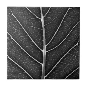 Black and white glowing leaf close-up ceramic tile
