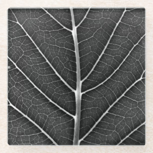 Black and White Glowing Leaf Close-Up Glass Coaster