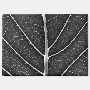 Black and white glowing leaf close-up magnet